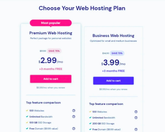 Budget-Friendly Hosting