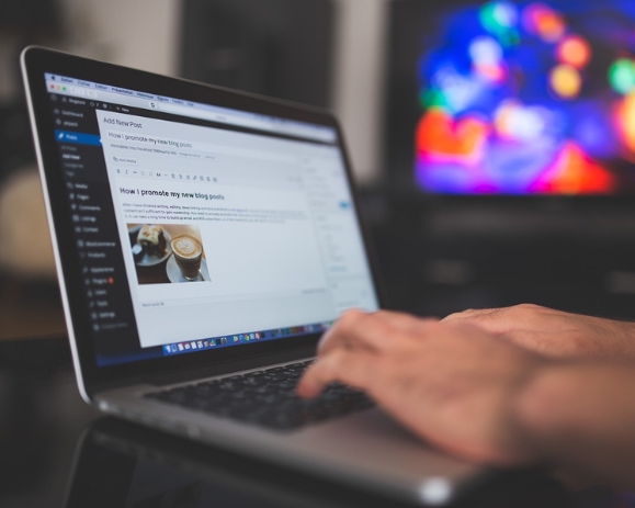 Choosing the Best WordPress Theme